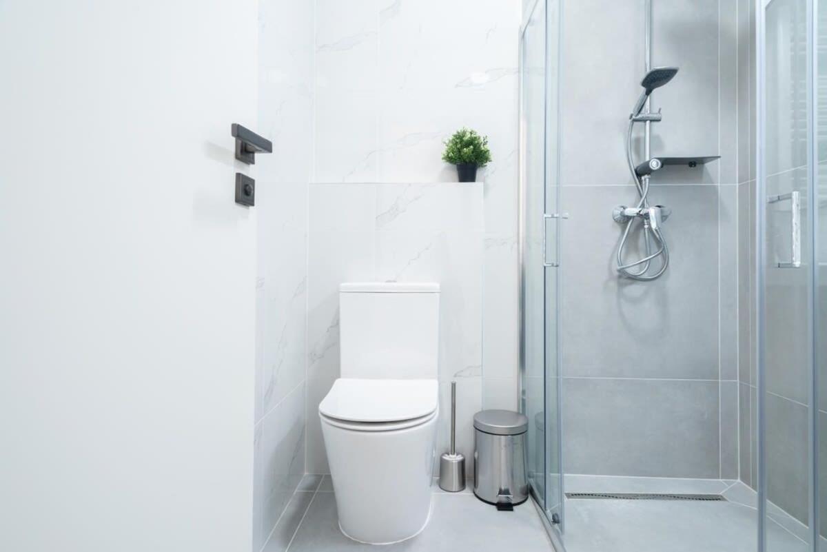 Large Apartment At Perfect Central Location ブダペスト エクステリア 写真